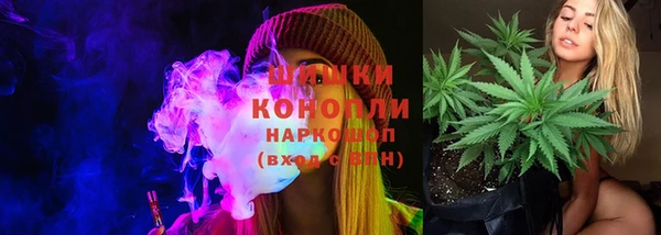 хмурый Мегион