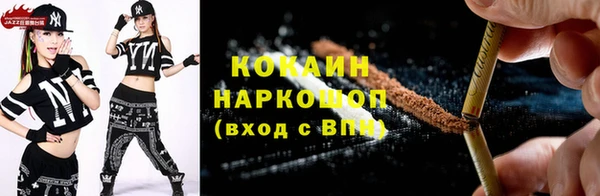 хмурый Мегион