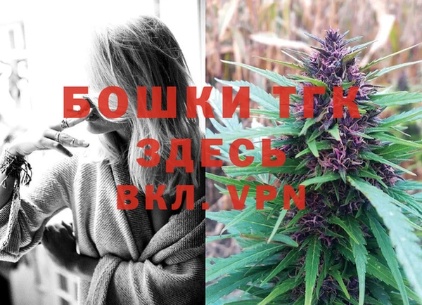дурь Балахна