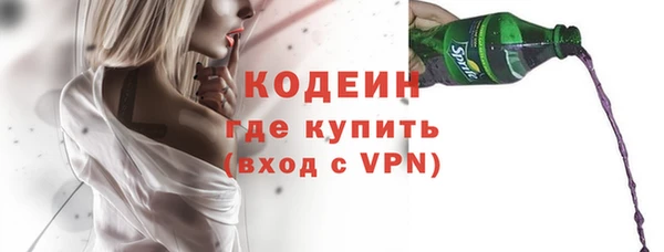 хмурый Мегион
