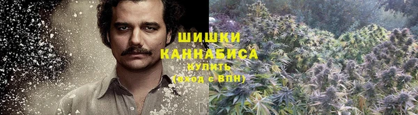 хмурый Мегион