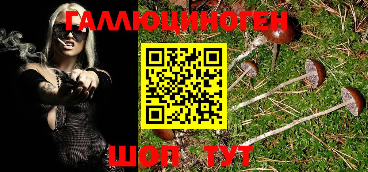 Псилоцибиновые грибы GOLDEN TEACHER  Бор  Галлюциногенные грибы Psilocybe 